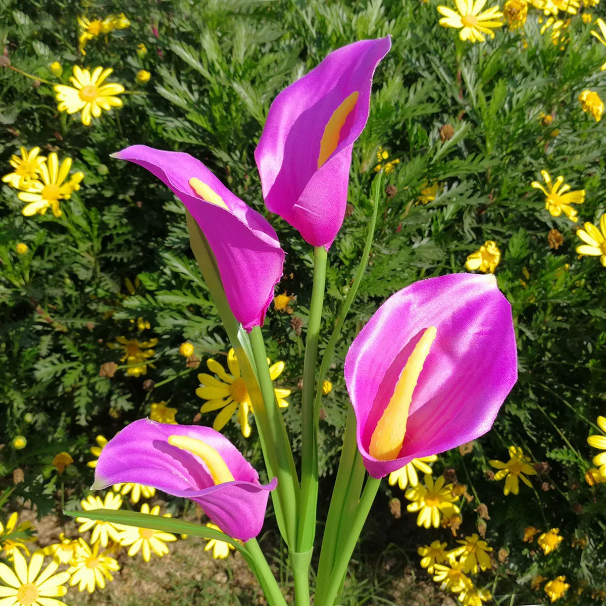 Solar Calla Lily Garden Light