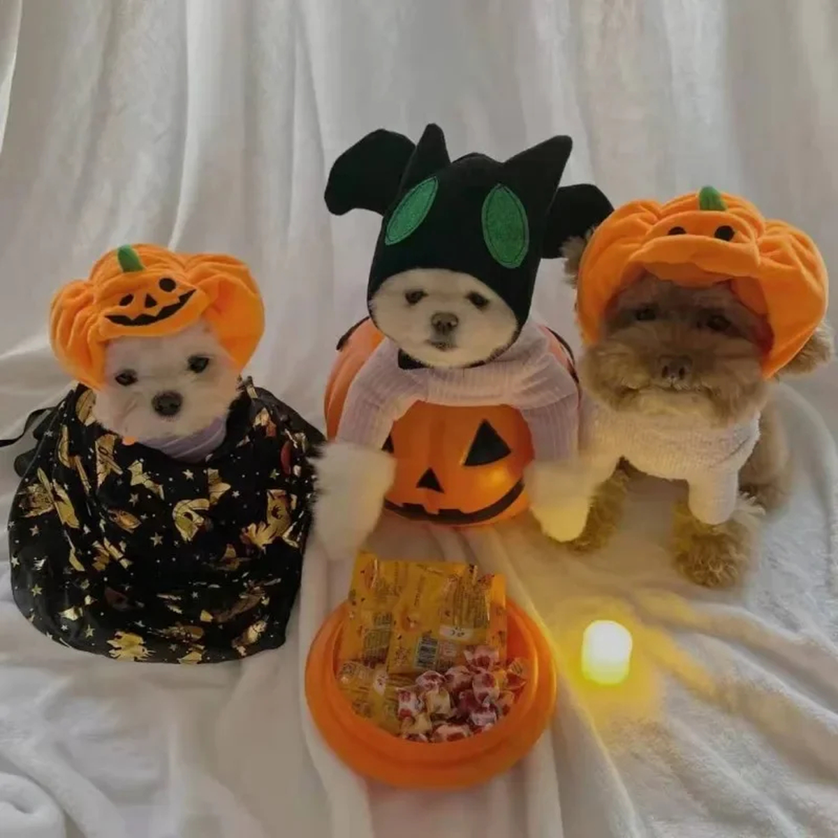 Plush Pumpkin Pet Hat