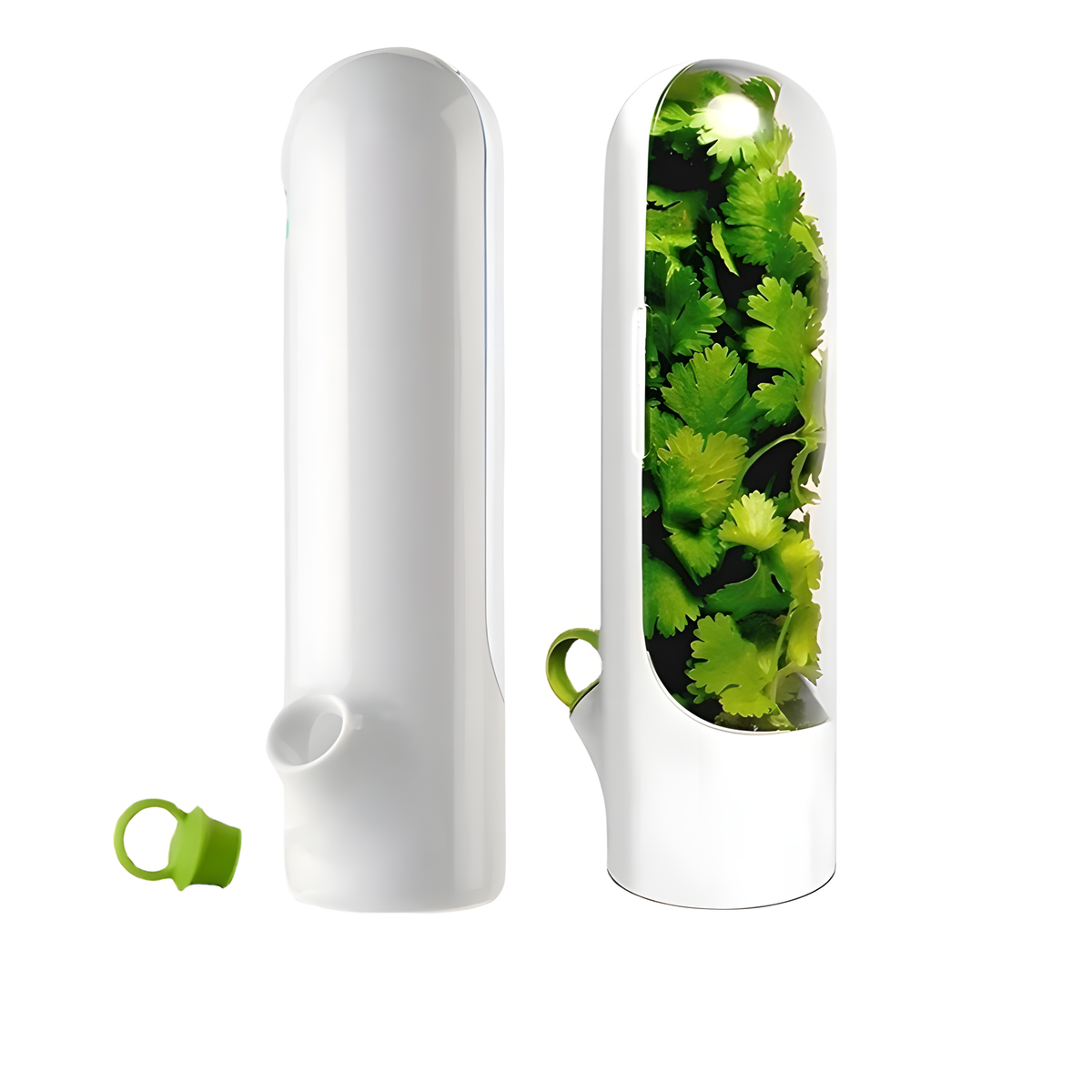 Upright Herb Keeper with Refill Reservoir