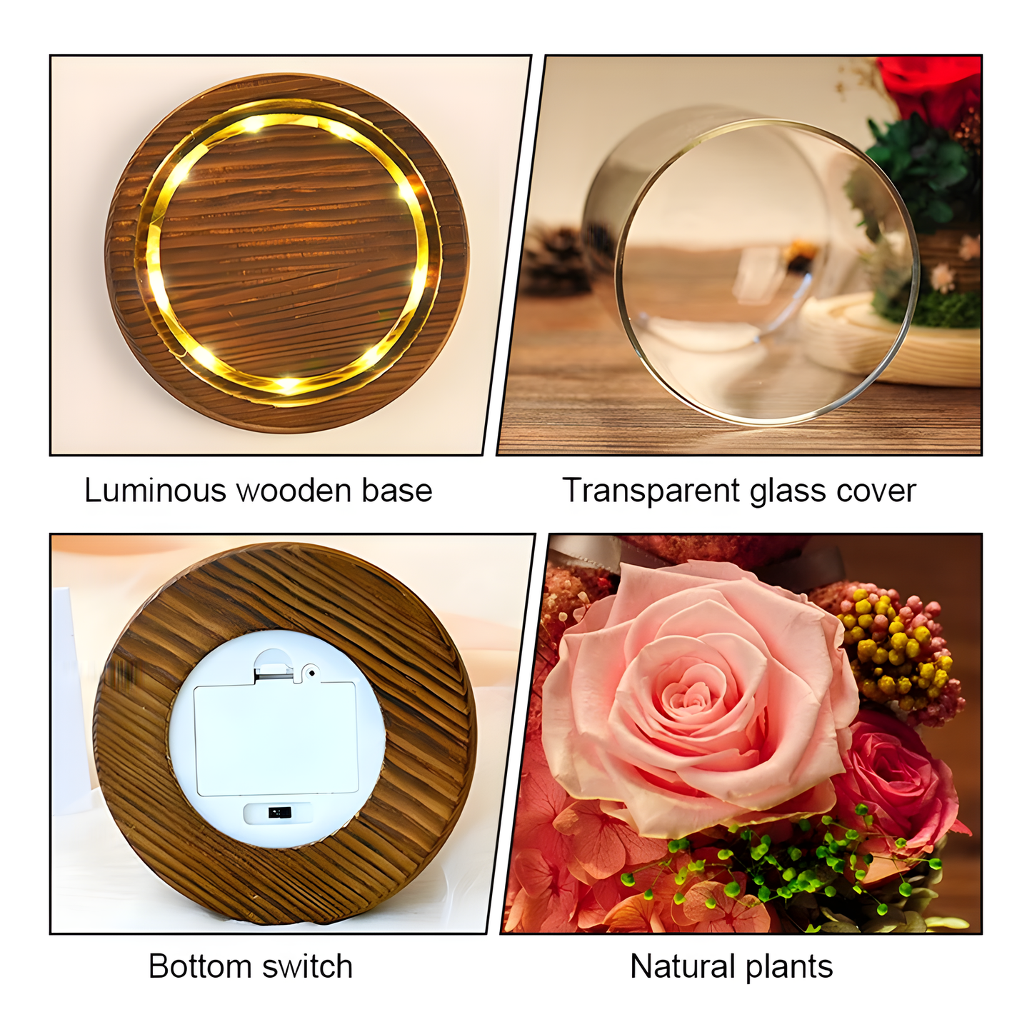 Rose Bear Glass Dome