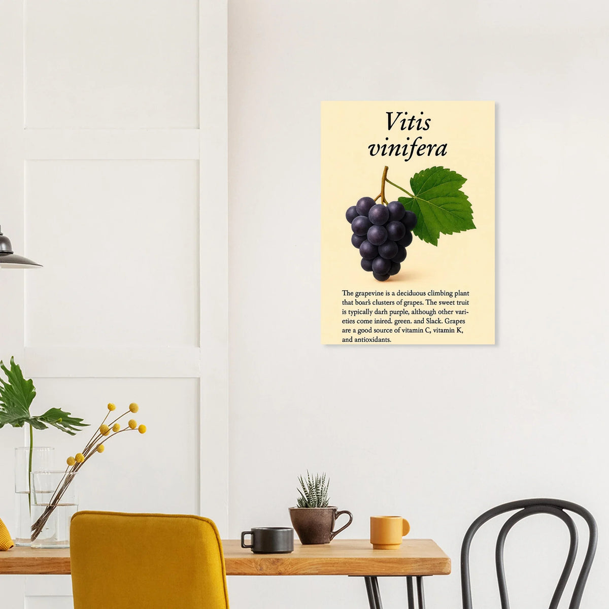 Frukter Vitis Vinifera Poster - Botanisk Druvkonsttryck på Premium Halvblankt Papper