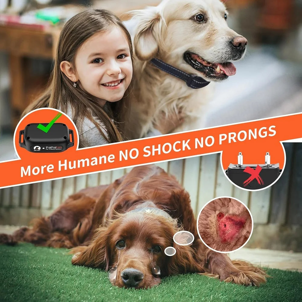 DIY Pet Playgrounds: Unleash Their Fun!