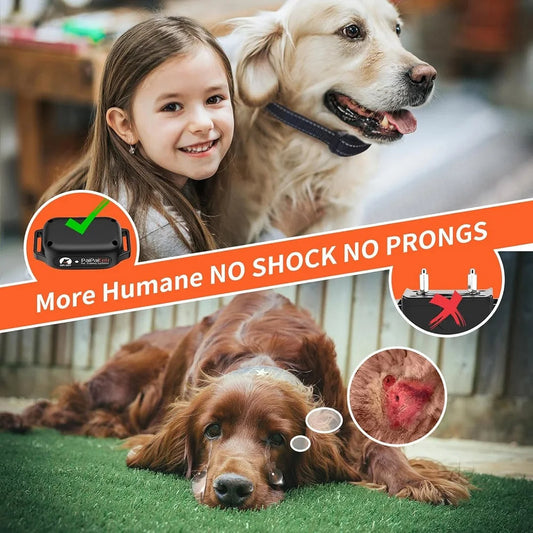 DIY Pet Playgrounds: Unleash Their Fun!