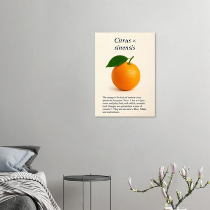 Frukter: Levande Apelsin Botanisk Konsttryck – Premium Halvblank Poster i Flera Storlekar