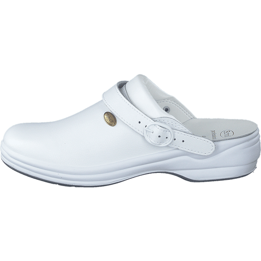 New Bonus White