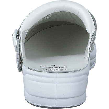 New Bonus White