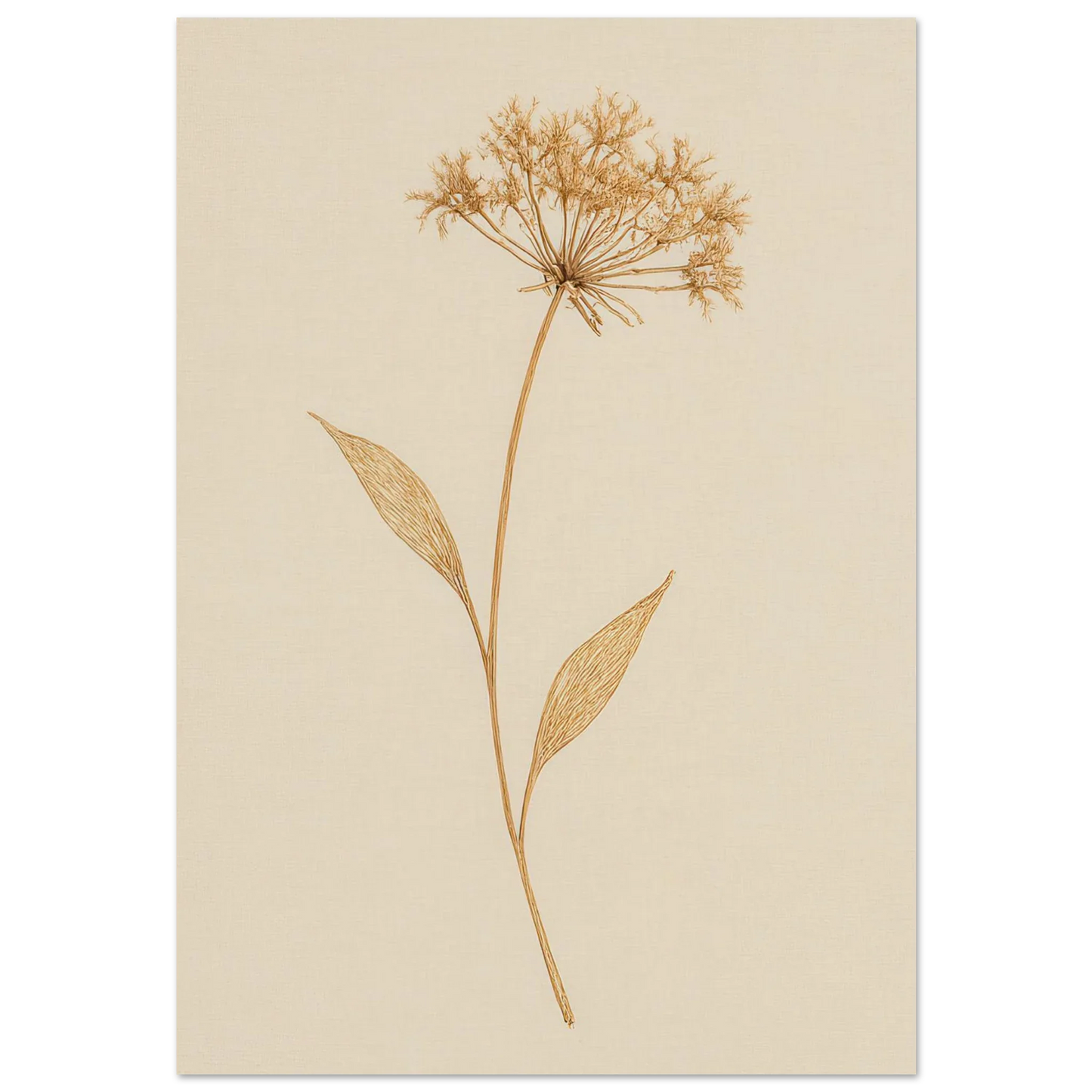 Frukter – Elegant Botanical Line Art Print on Premium Semi-Gloss Paper