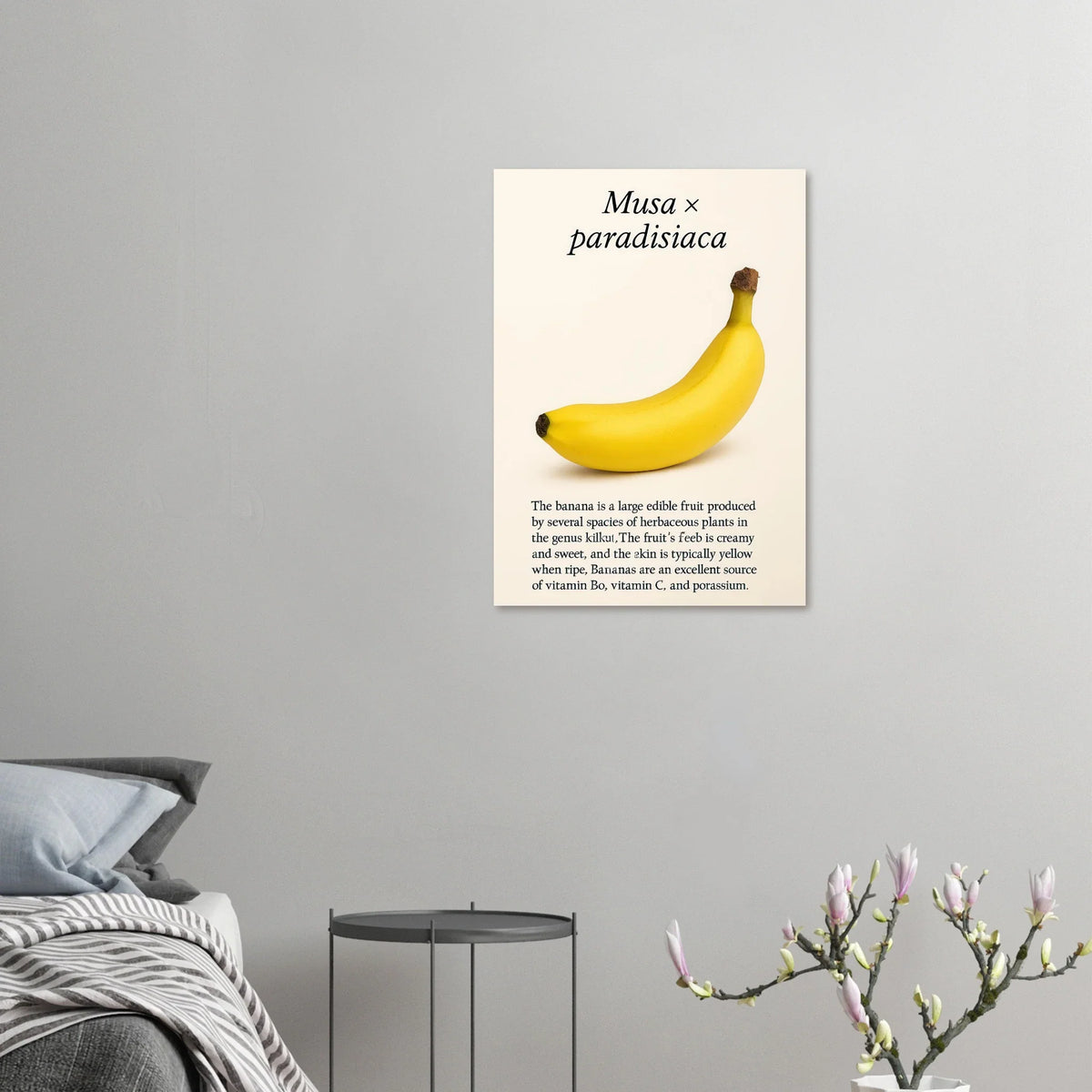 Frukter – Banan Botanisk Poster: Gul Frukt Konsttryck på Halvblankt Papper, i Flera Storlekar
