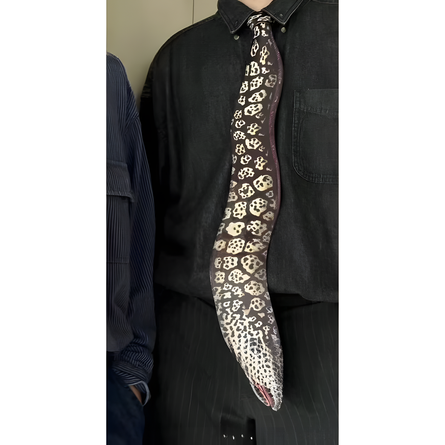 Animal Bow Tie Neckwear
