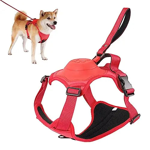 Hundsele och automatiskt infällbart koppelkit