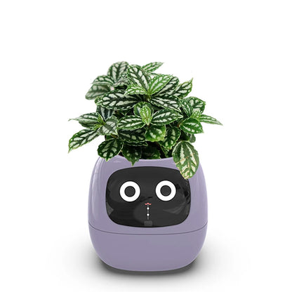 Smart liten blomkruka