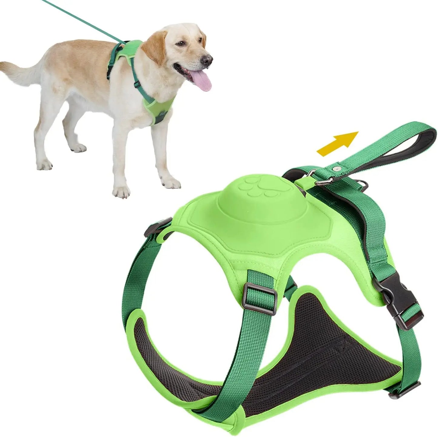 Hundsele och automatiskt infällbart koppelkit