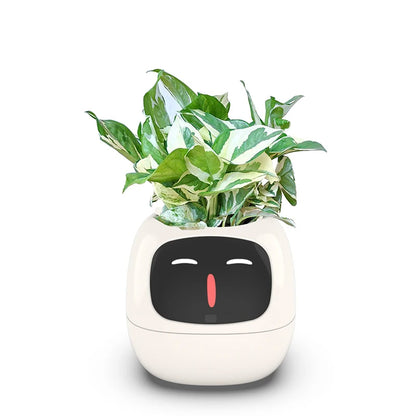 Smart liten blomkruka