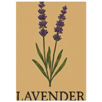 Frukter Lavendel Botanisk Illustration Affisch - Ljus & Livfull Väggkonst i Olika Storlekar