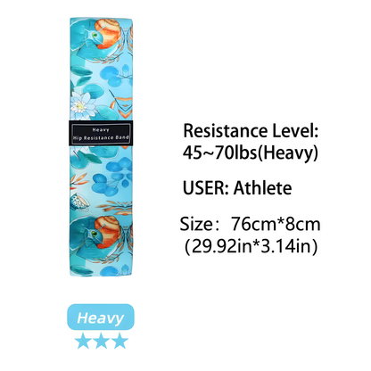 Resistance Hip Loop Band