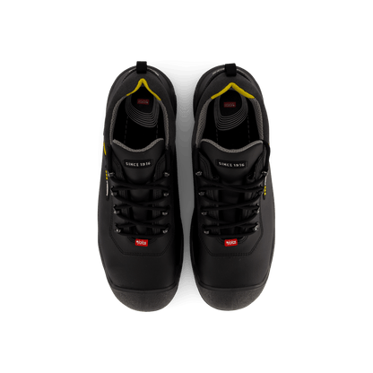 1538 Terra Black