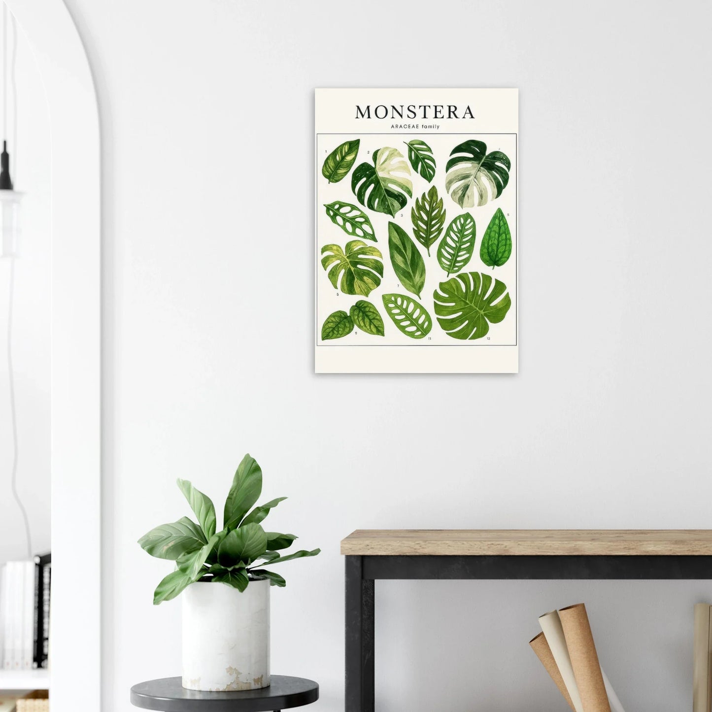 Monstera Botanical Art Print - Premium Green Leaf Illustration Poster in Various Sizes