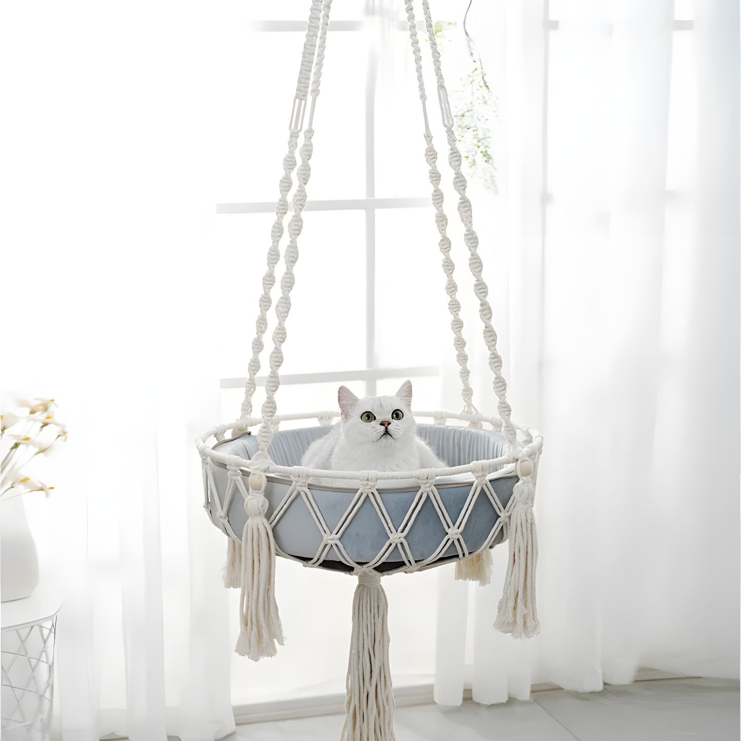 Hanging Cat Hammock