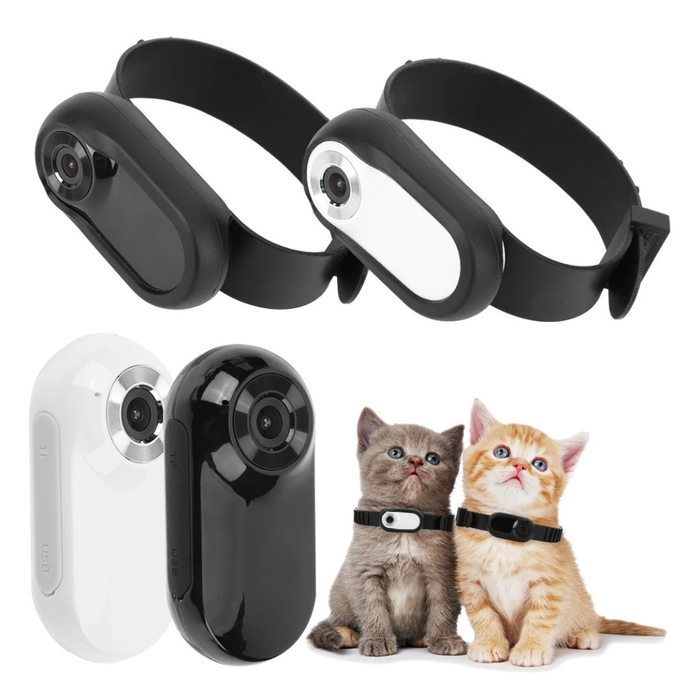 Kamerahalsband för katter och hundar