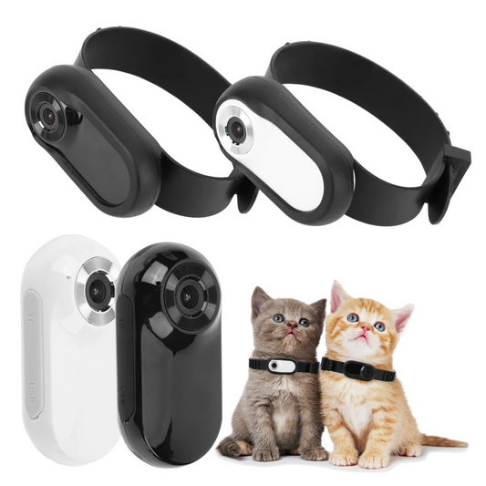 Kamerahalsband för katter och hundar