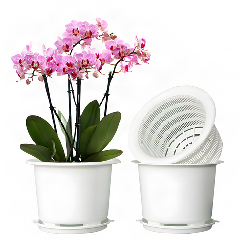 Double-Layer Orchid Pot