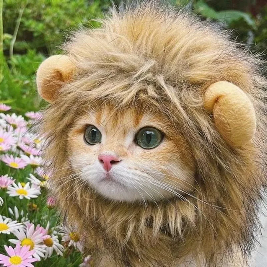 Lion Costume Hat for Pets