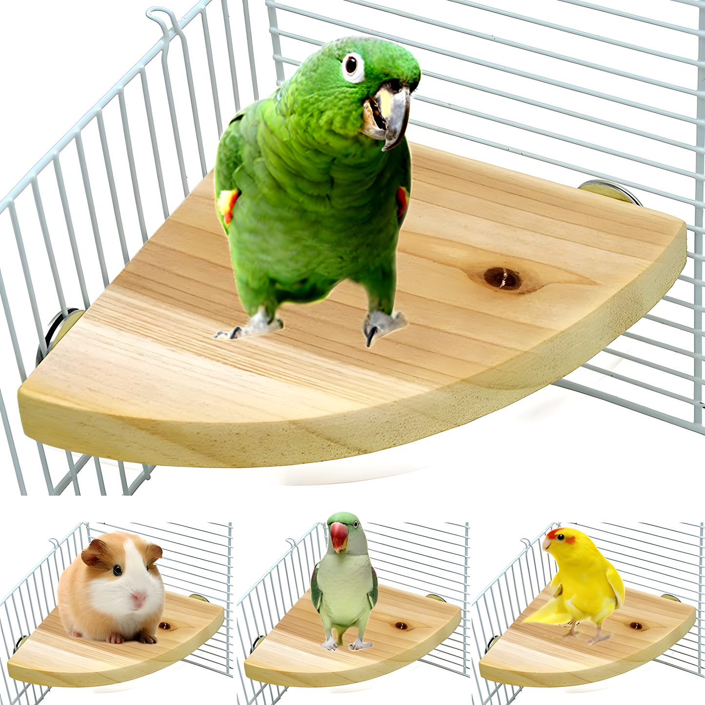 Bird Cage Perch