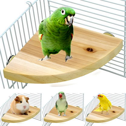 Bird Cage Perch