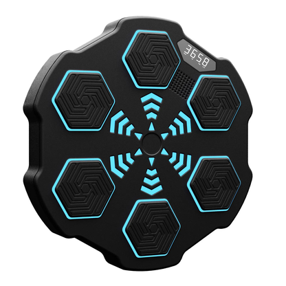Kids Bluetooth Boxing Target