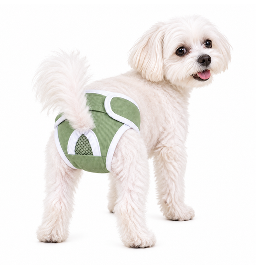 Dog Sanitary Pants