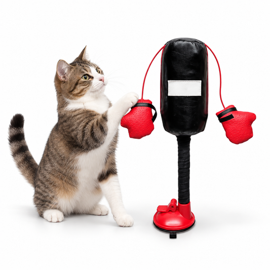 Interactive Cat Boxing Toy