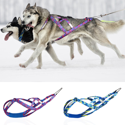 Reflective Dog Sled Harness