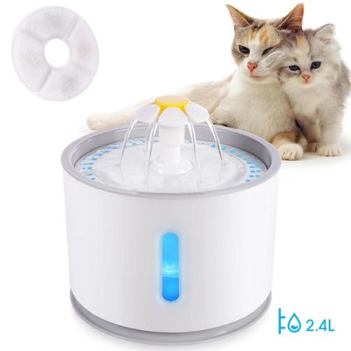 Automatisk kattvattenfontän
