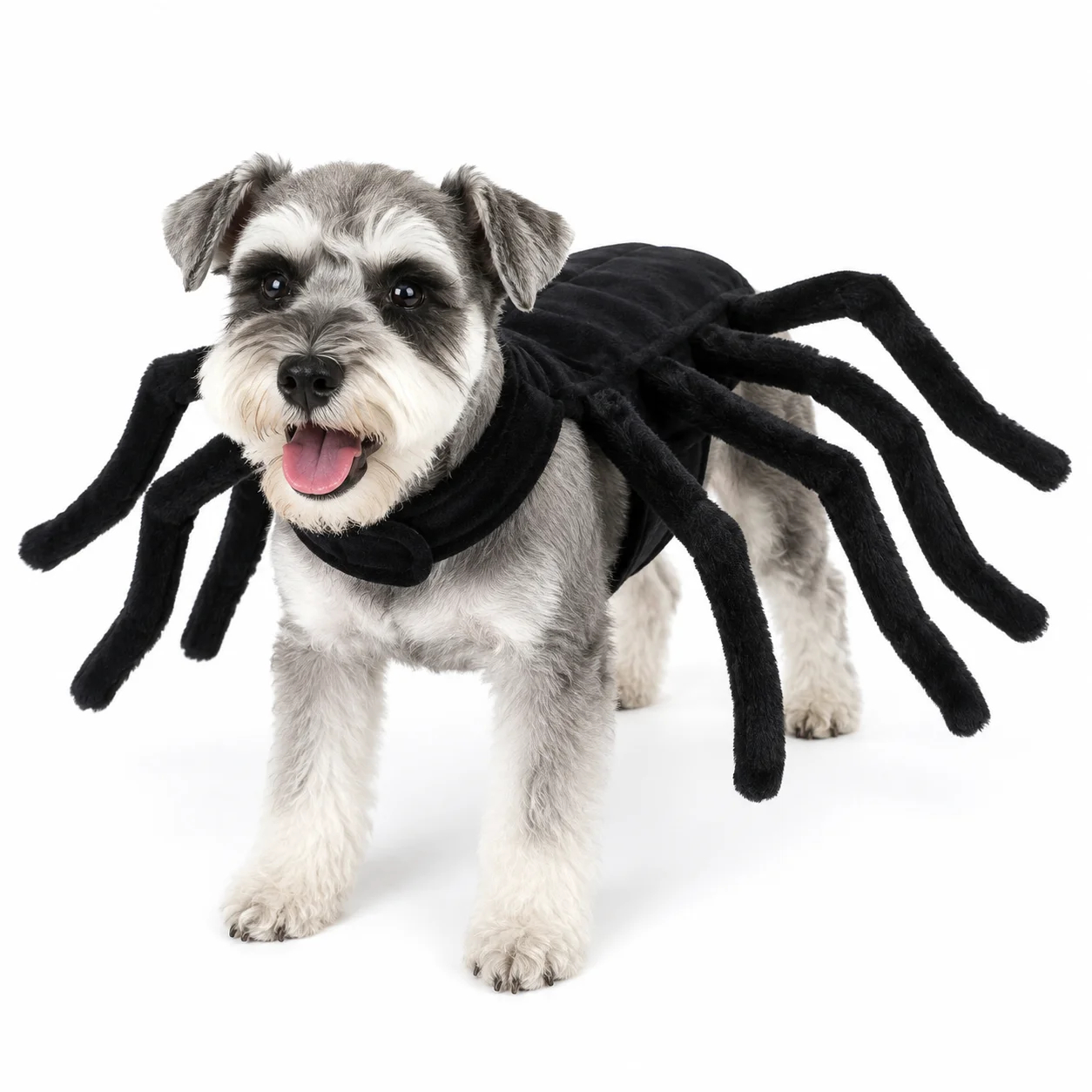 Halloween Spider Pet Costume