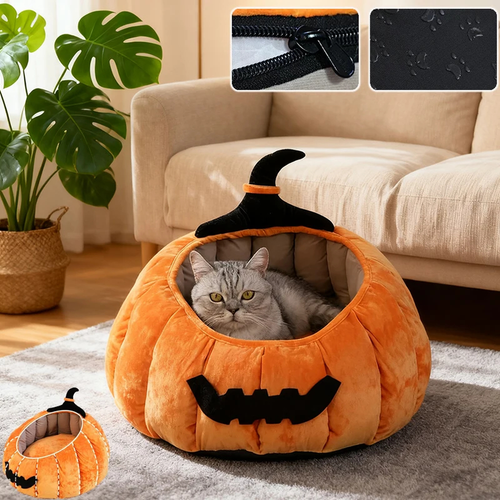 Pumpkin Cat Bed