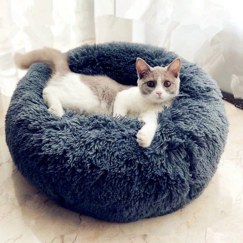 Kattbädd