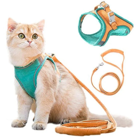 Kattvästsele koppel set