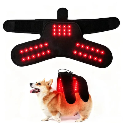 Wearable Red Light Therapy for Pets