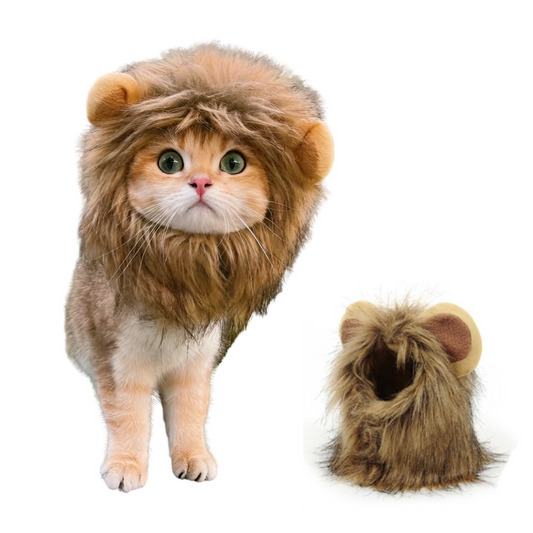 Katt Lejon Mane