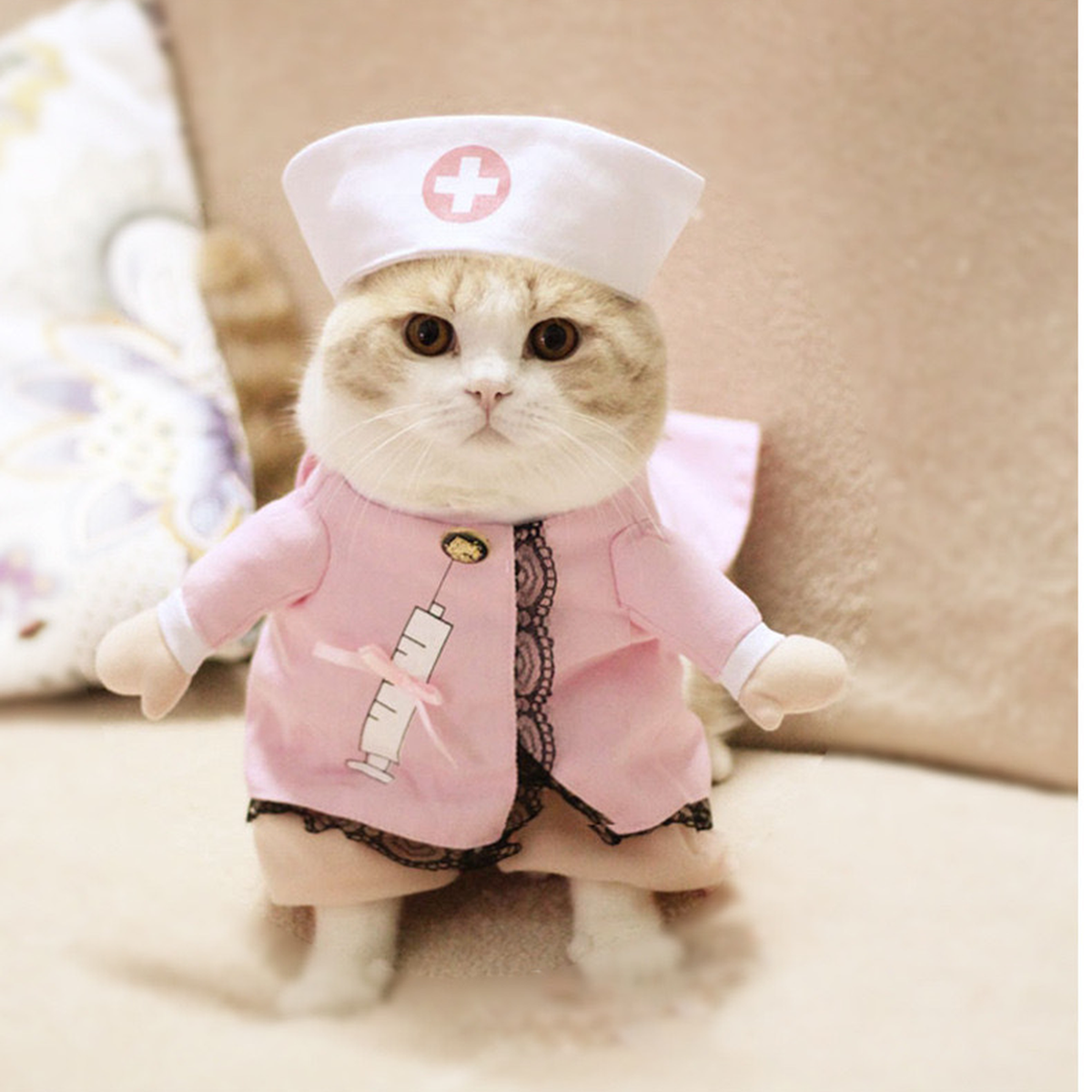Pet Halloween Costume