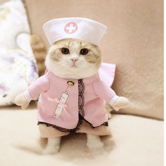 Pet Halloween Costume