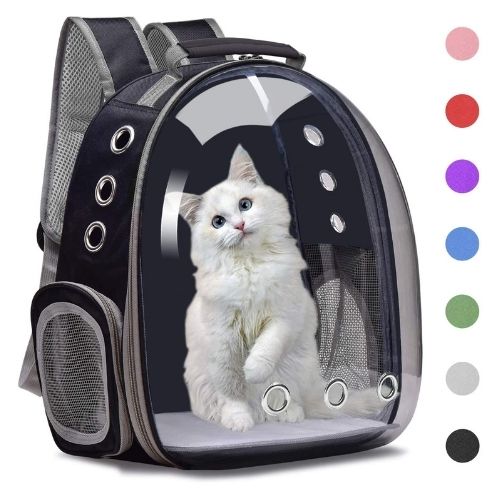 Kattbärryggsäck