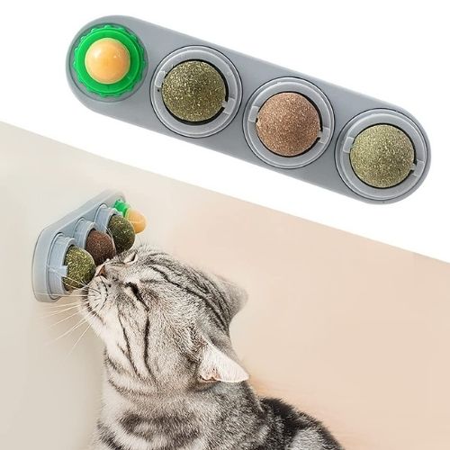 Kattmynta väggboll