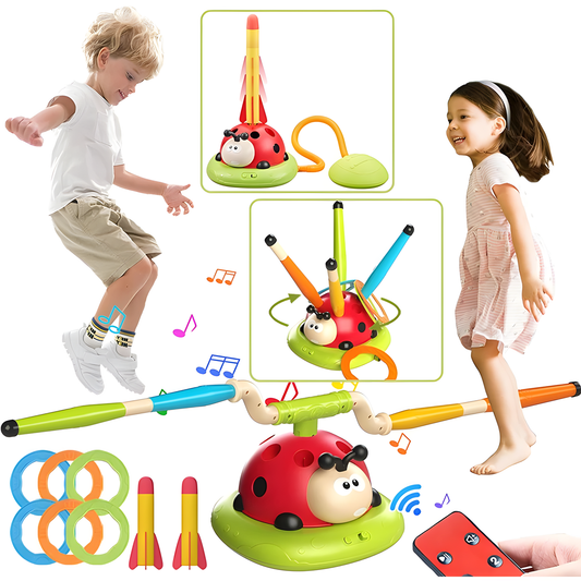 Ladybug Sensory Toy