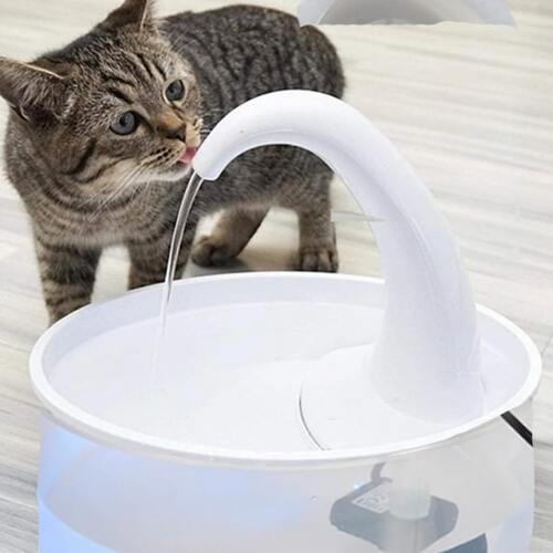 Kattdricksfontän