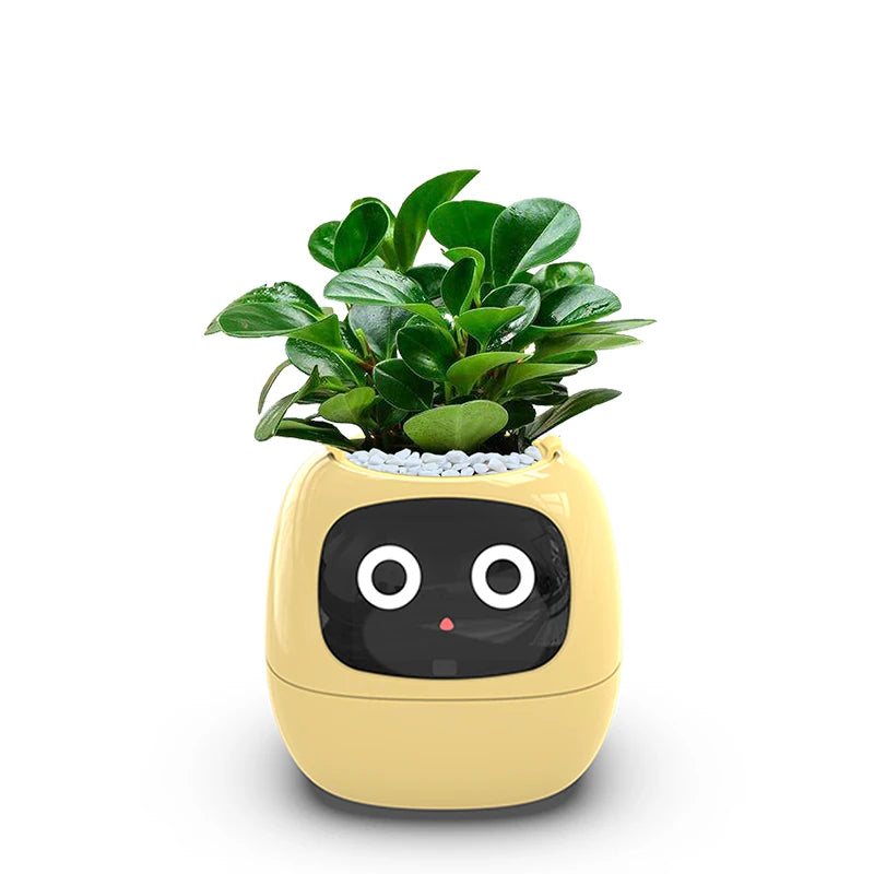 Smart liten blomkruka