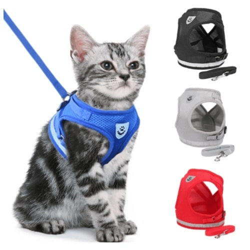 Kattkoppel och sele