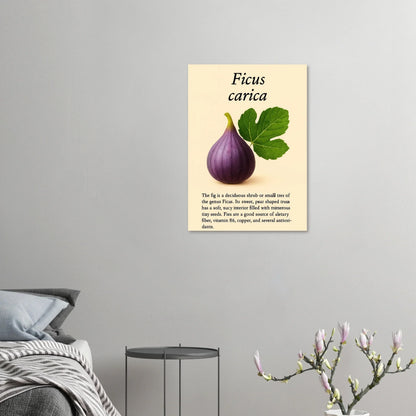 Frukter: Levande Fikondetalj Konsttryck – Premium Halvblankt Papper i Flera Storlekar