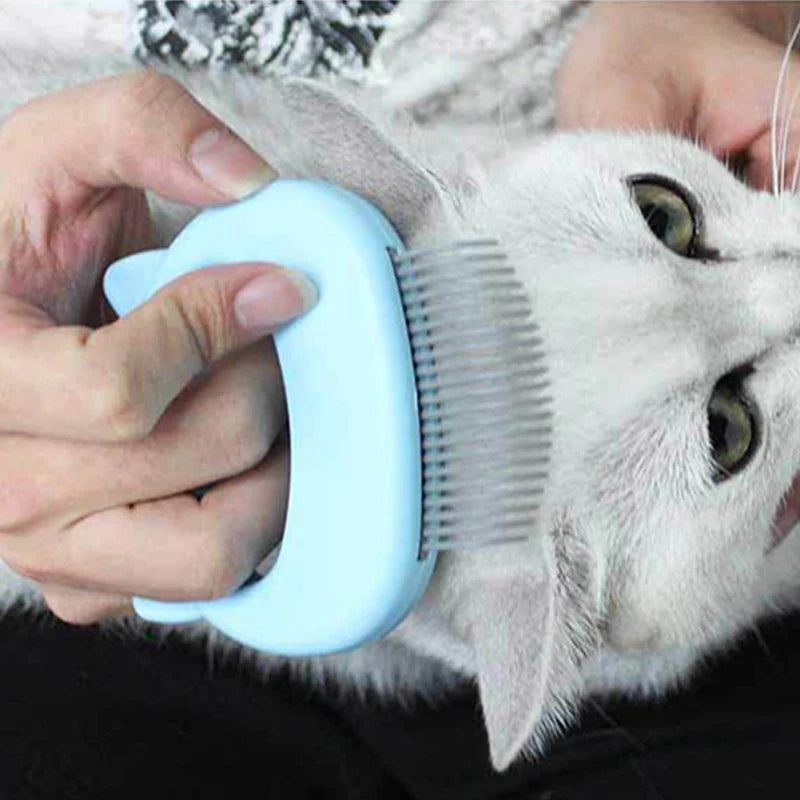 Kattpälsvård och massagekam