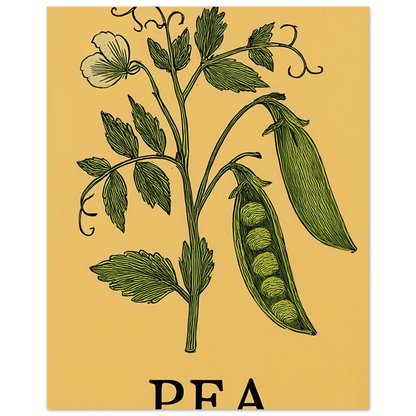 Frukter Pea Pod Print: En tidlös botanisk poster för ditt hem